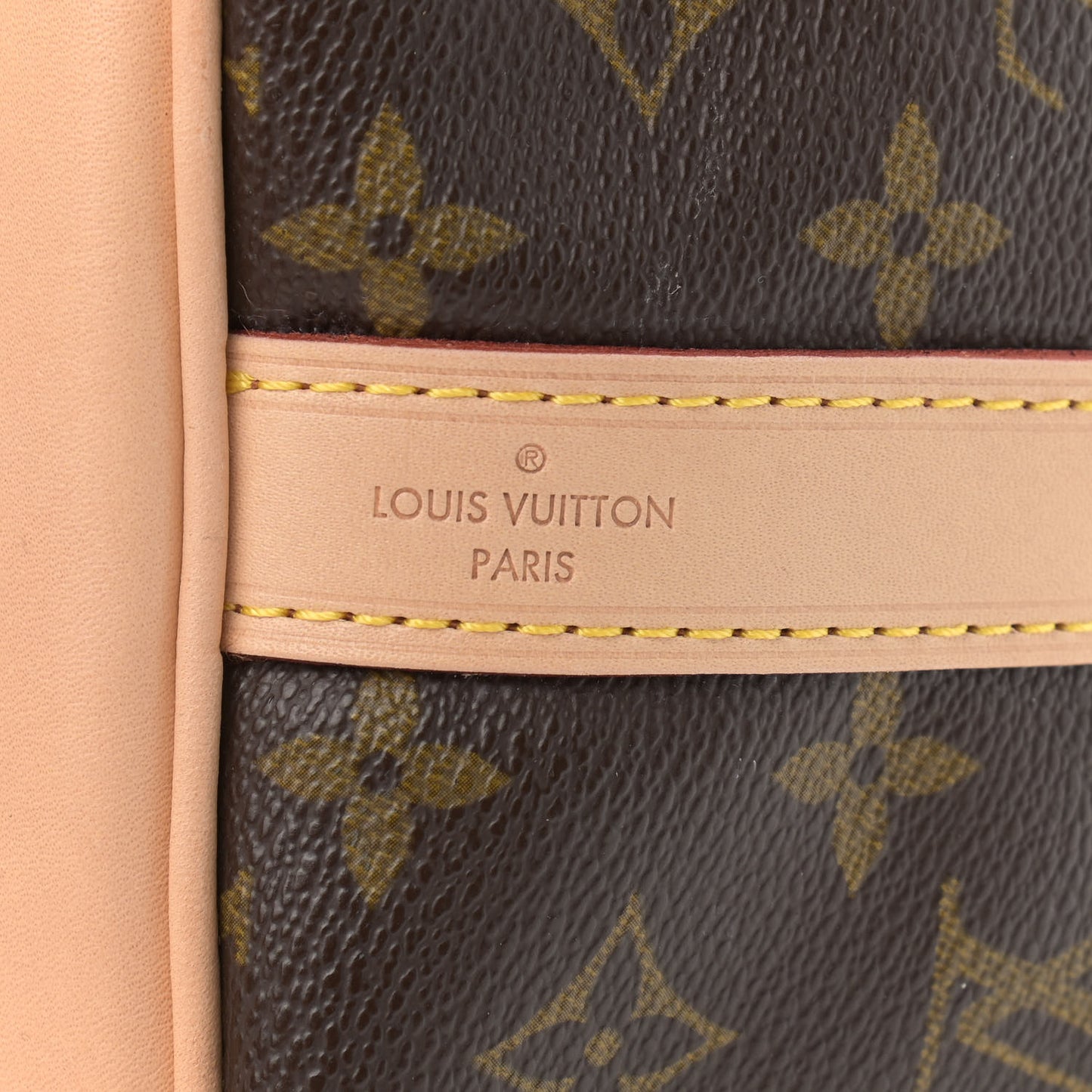 Monogram Petit Noe NM
