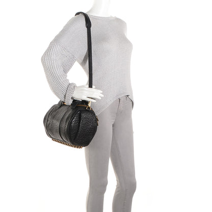 Alexander Wang Pebbled Lambskin Rockie Black w Antique Brass Hardware 2 of 8