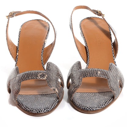Hermes Lizard Night 70 Sandals Ombre 37.5 2 of 4