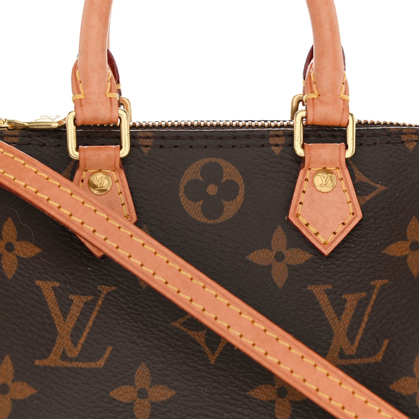 Monogram Nano Speedy