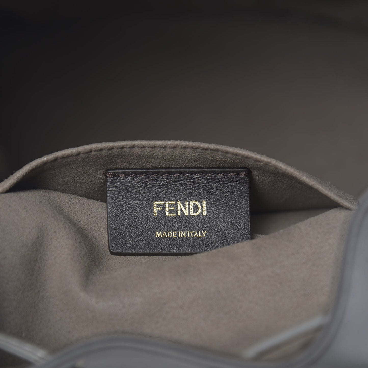 Vitello Grace Matte F is Fendi Grande Mon Tresor Bucket Bag Argilla