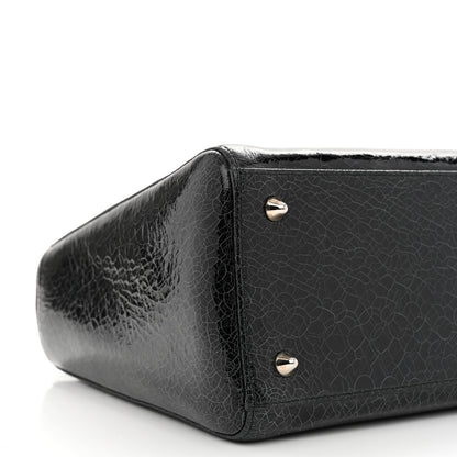 Christian Dior Ceramic Effect Deerskin Jeweled Swan Lady Dior Black 9 of 11