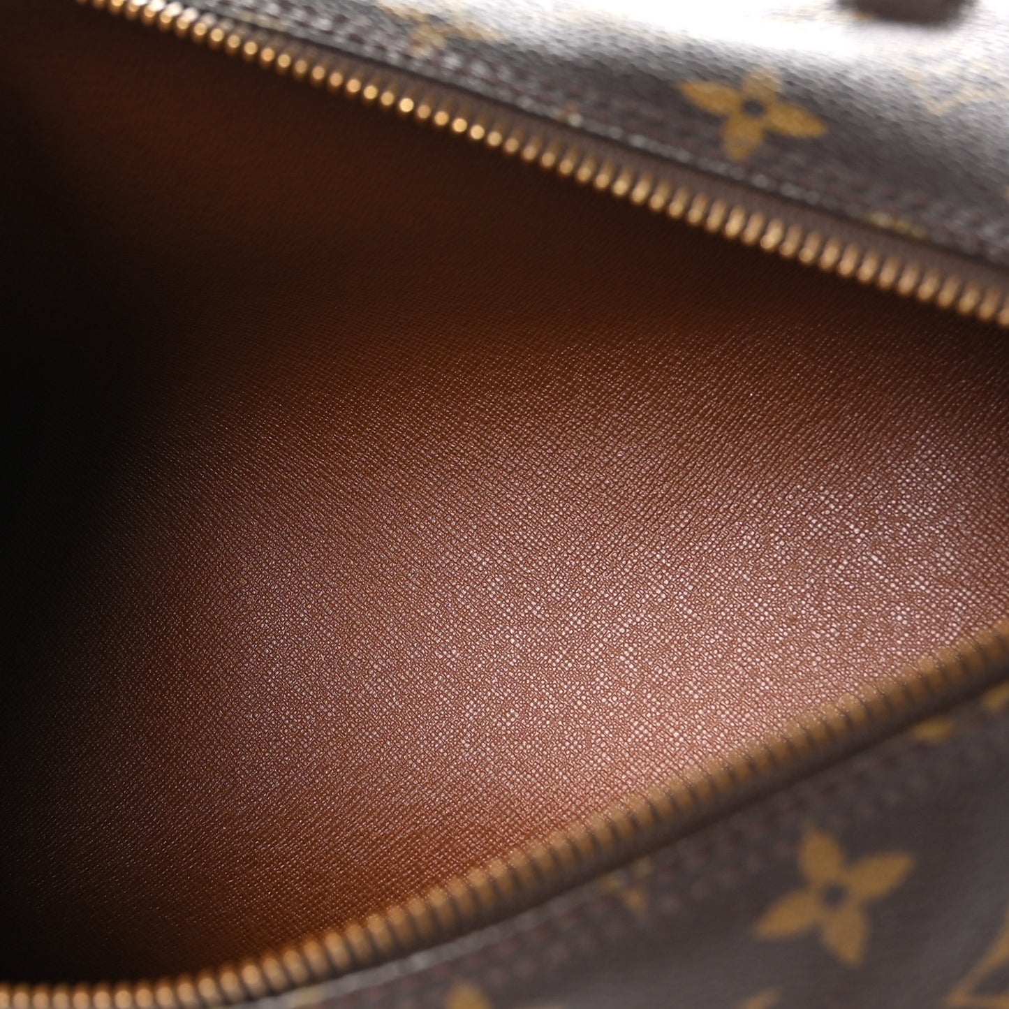 Monogram Papillon 30 with Companion