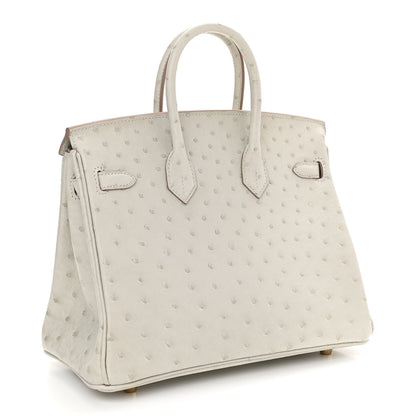 Hermes Ostrich Birkin 25 Gris Perle 3 of 11