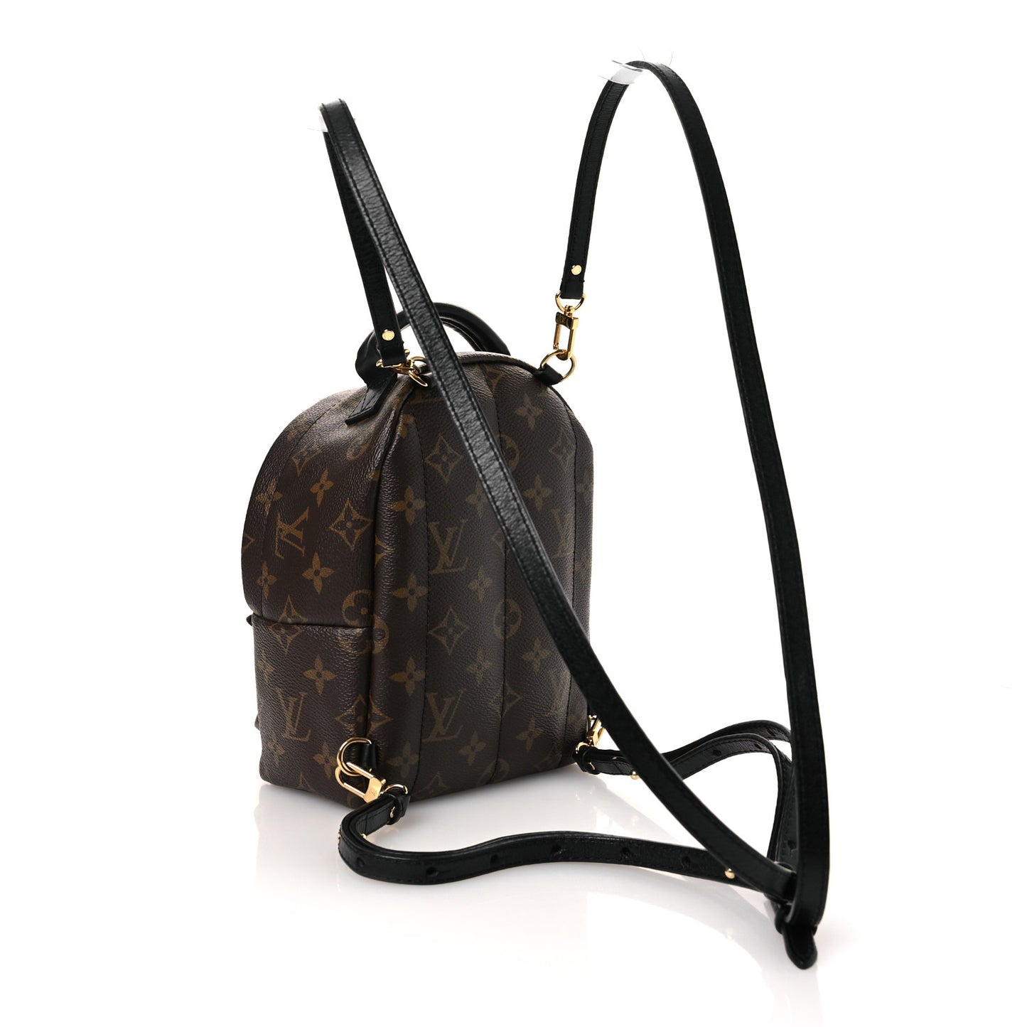 Monogram Palm Springs Backpack Mini
