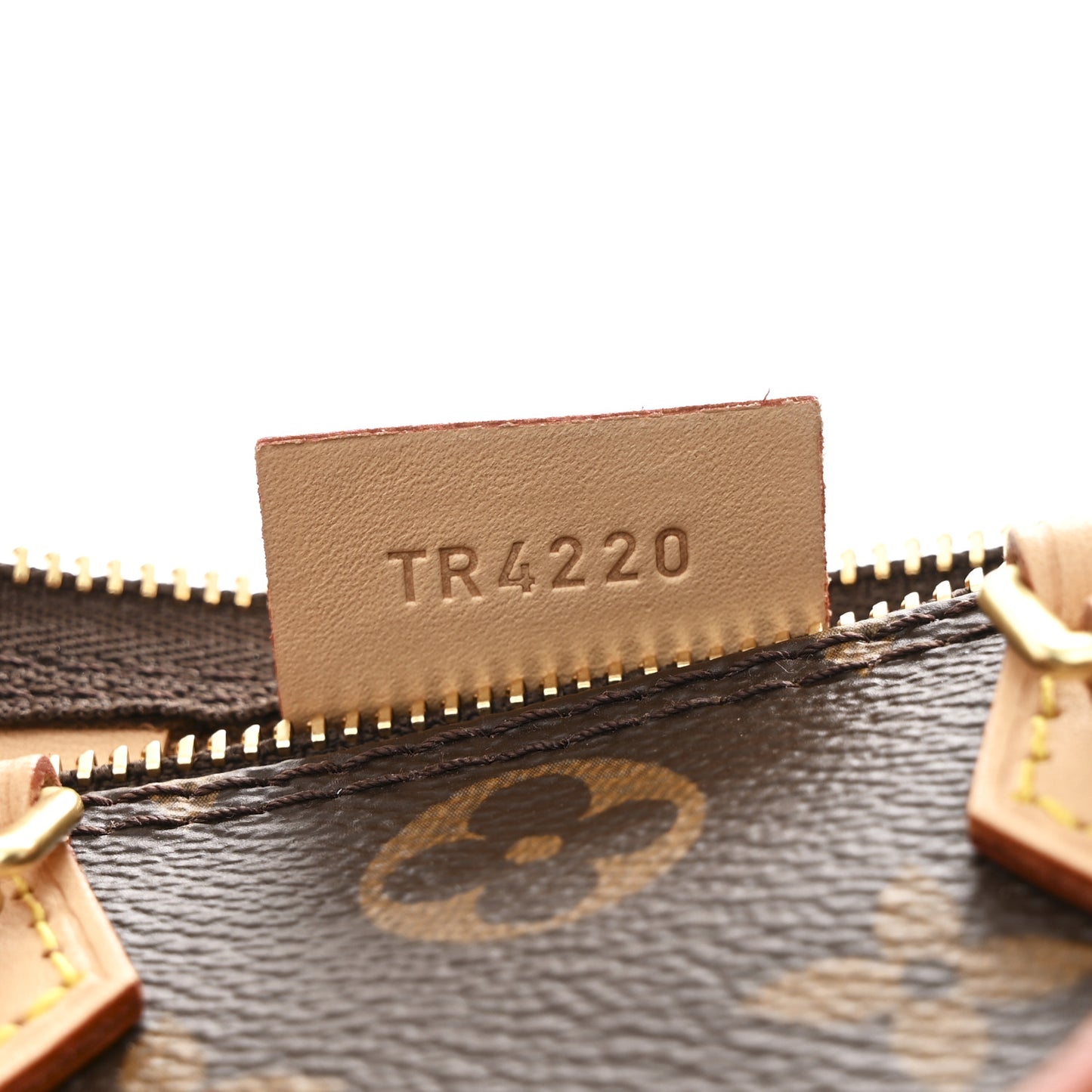 Monogram Nano Speedy