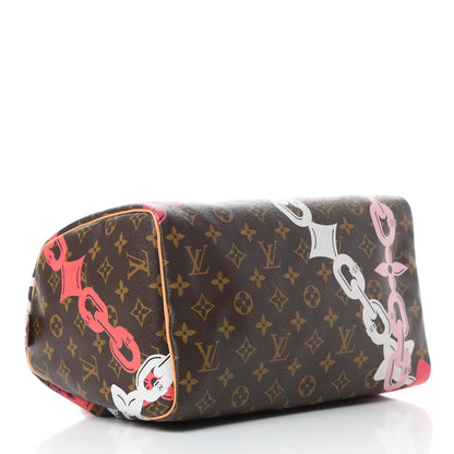 Louis Vuitton Monogram Bay Speedy 30 Rose Ballerine Poppy 4 of 16