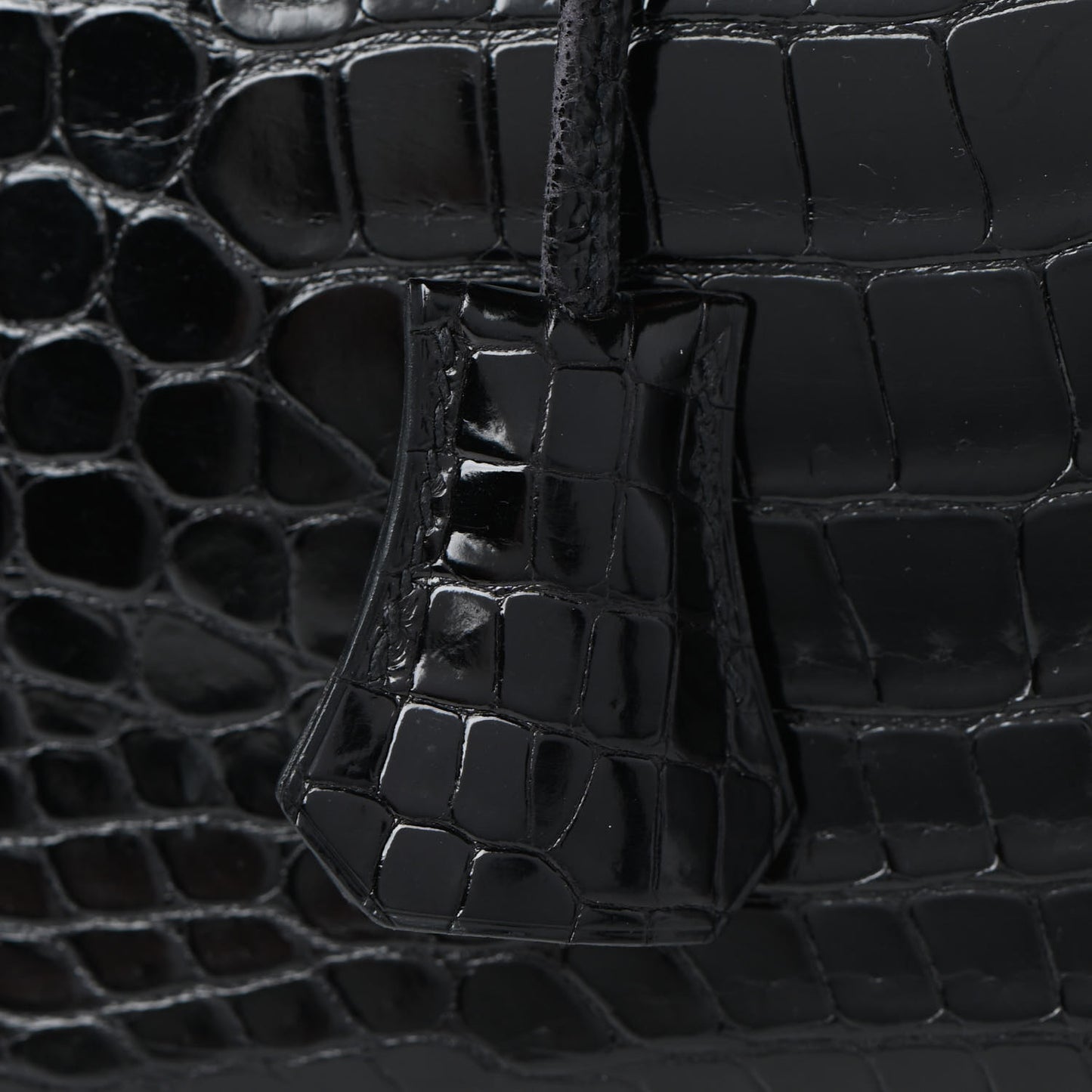 Shiny Porosus Crocodile Birkin 35 Black Orange