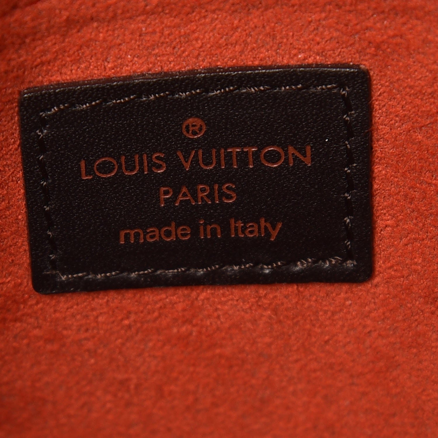 Louis Vuitton Damier Calf Hair Sauvage Lionne 6 of 7