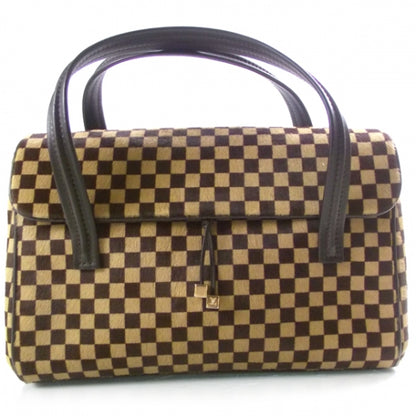 Louis Vuitton Damier Sauvage Lionne 1 of 11