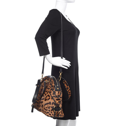 Saint Laurent Calf Hair Leopard Print Large Fauve Black 2 of 12
