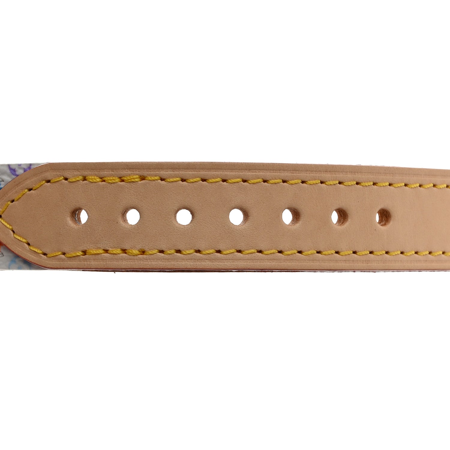 Louis Vuitton LV X TM Monogram Multicolor Dog Collar White 4 of 9