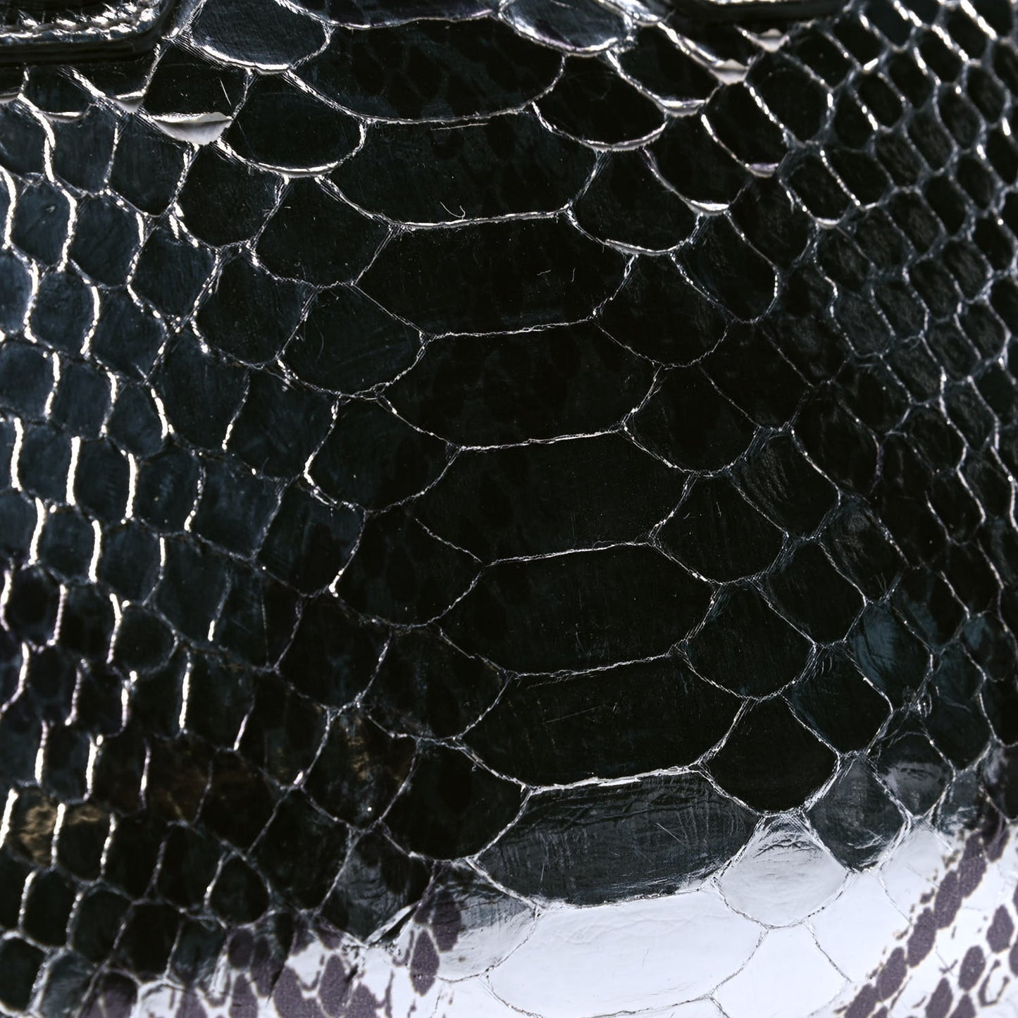 Metallic Laminated Python Mini Antigona Silver