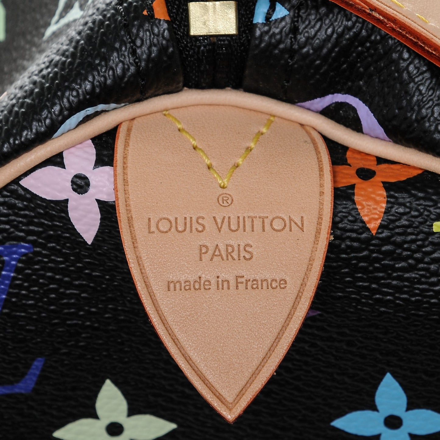 Monogram Multicolor Speedy 30 Black