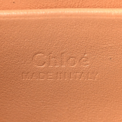 Chloe Calfskin Mini Faye Shoulder Bag Blushy Pink 5 of 9