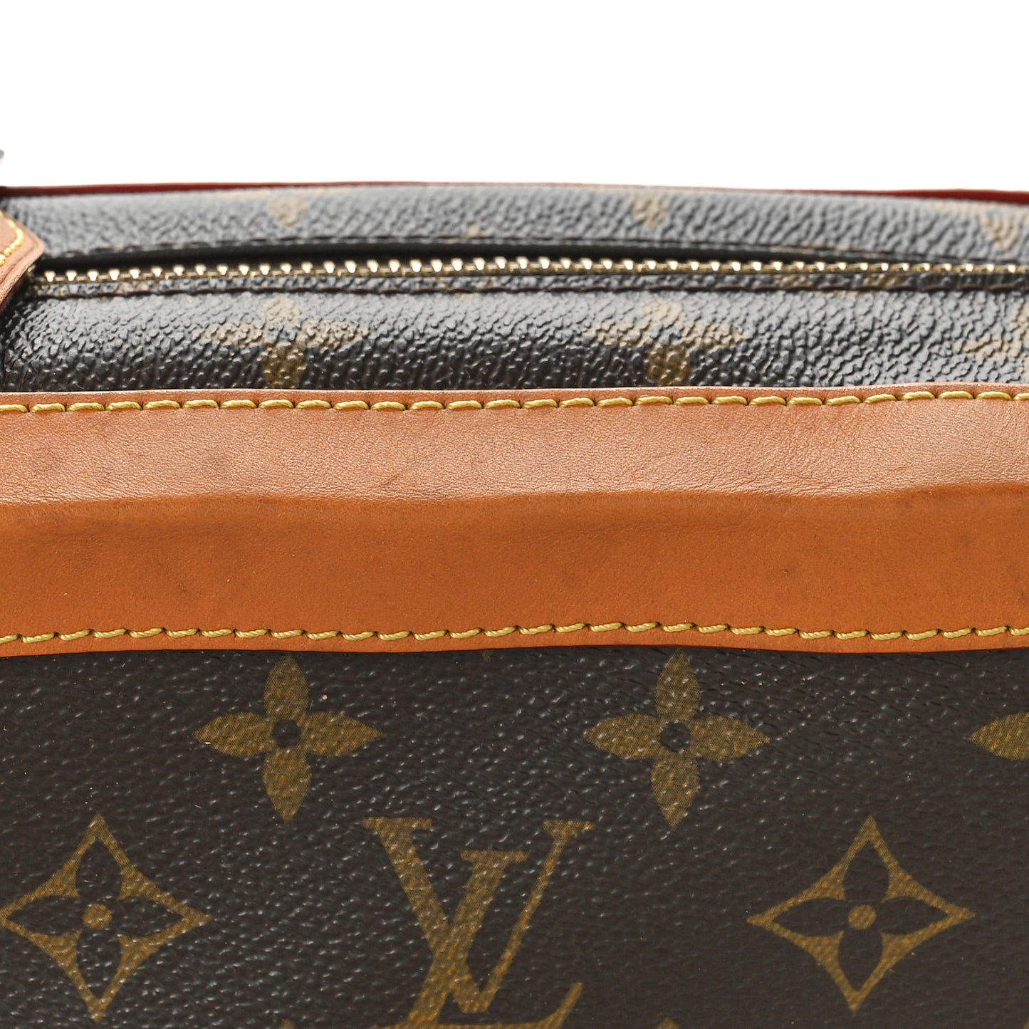 Monogram Soft Trunk