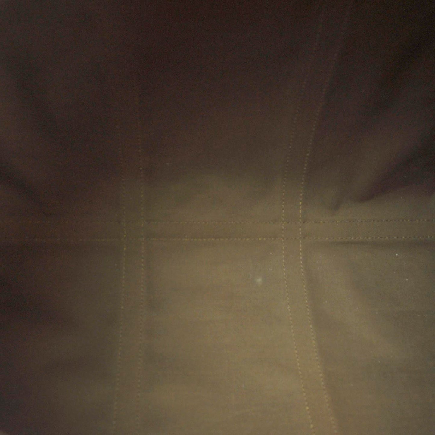 Monogram Sac Flanerie 50