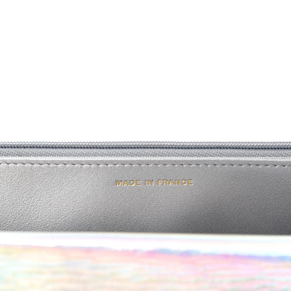 Chanel Iridescent Goatskin Quilted Wallet On Chain WOC Silver 9 of 12
