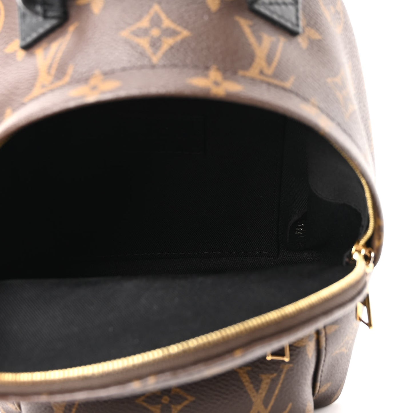 Monogram Palm Springs Backpack Mini