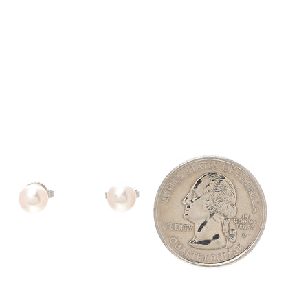 Tiffany 18K White Gold Akoya Pearl 6-6.5mm Signature Pearl Earrings 2 of 5