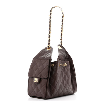 Chanel Caviar Quilted Small Chanel 25 Handbag Dark Brown 2 of 10