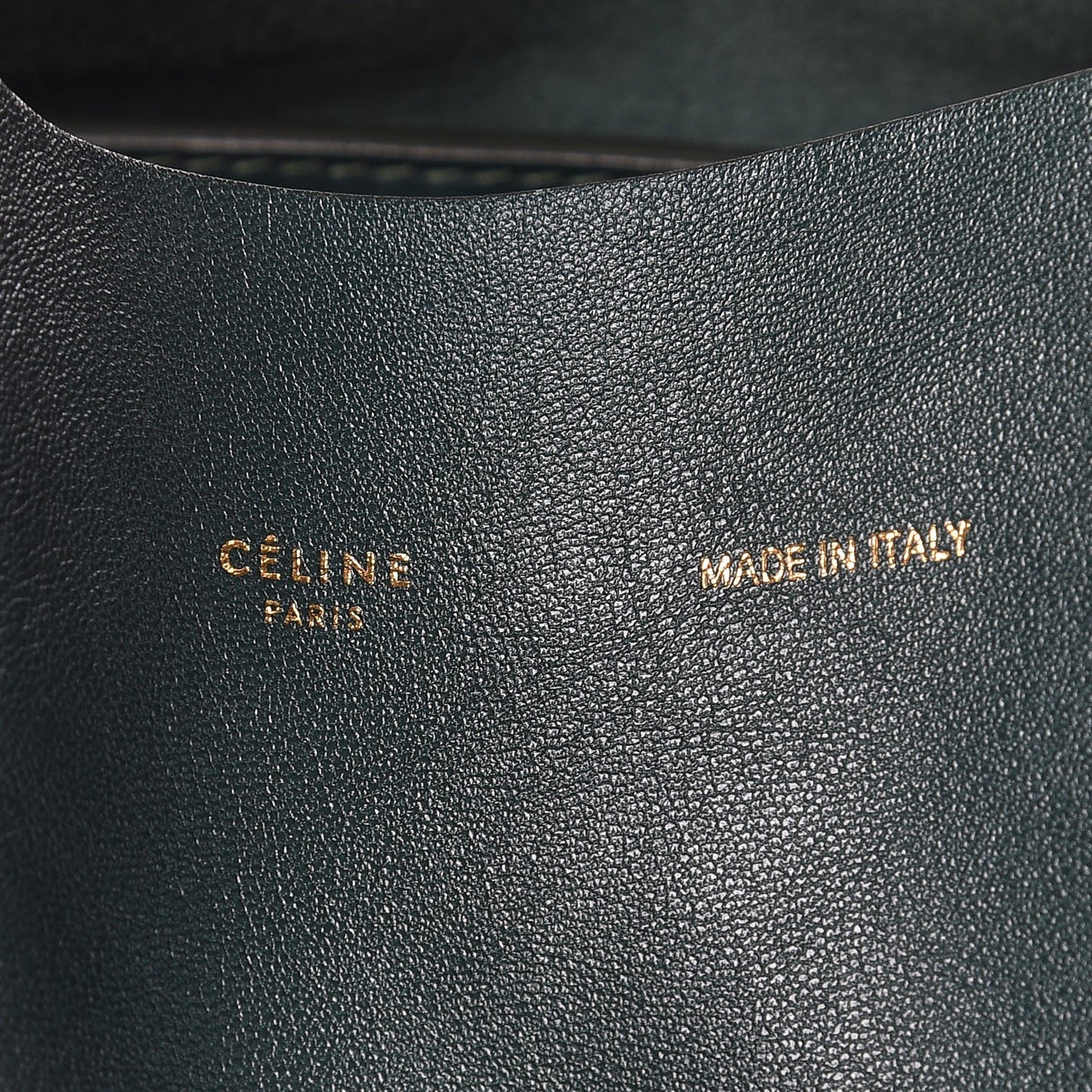 Lambskin Horizontal Cabas Bottle Green