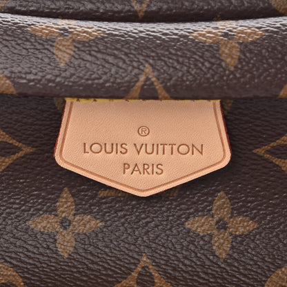 Louis Vuitton Monogram Bumbag 6 of 7