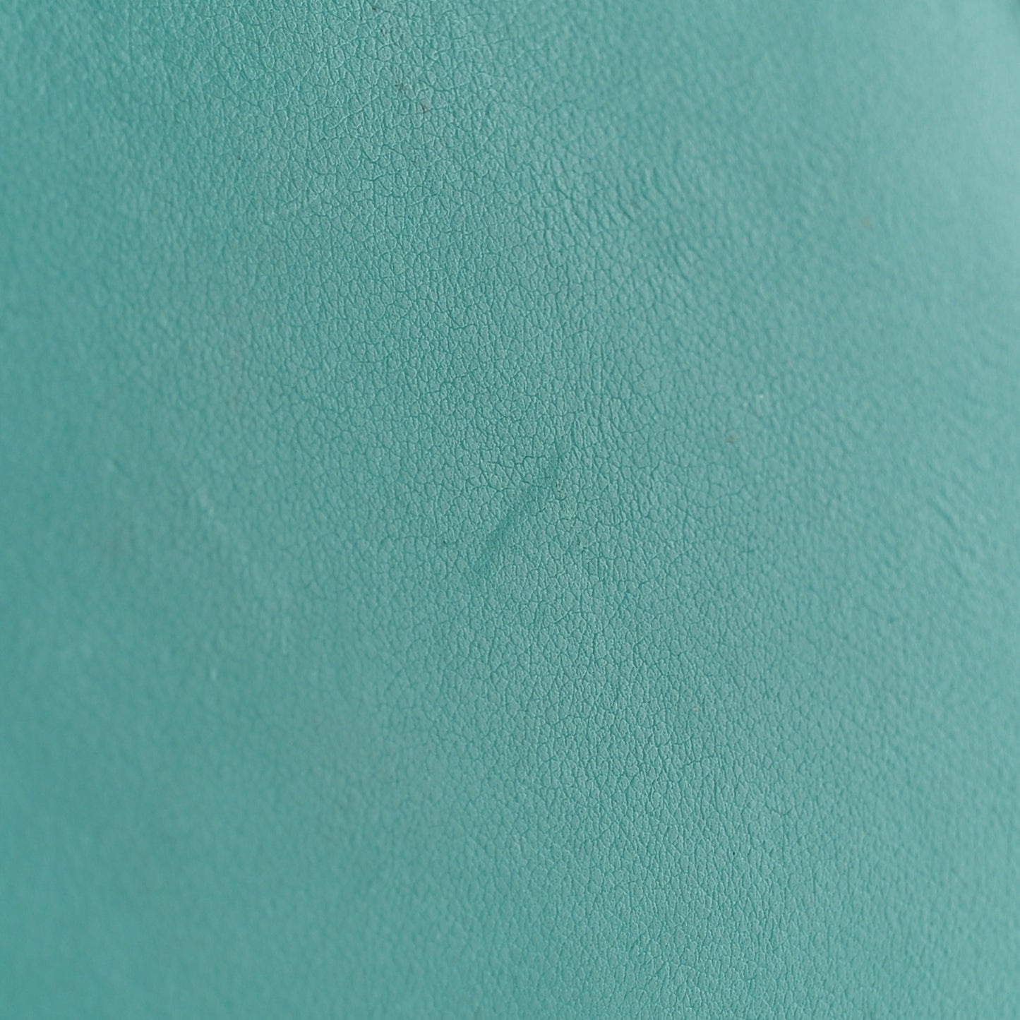 Swift Chevre Mysore Hermail Tutti Frutti Lemon Wallet Bleu Paon Lime Canopee
