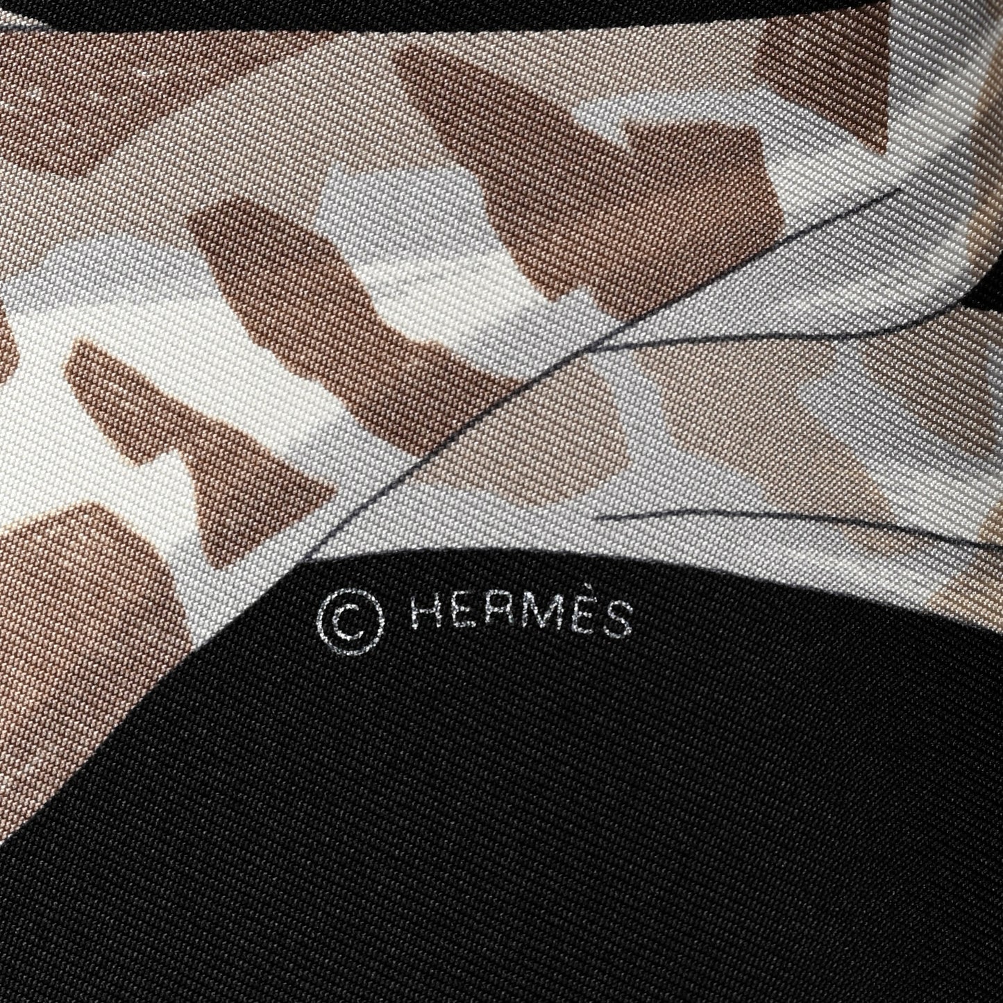 Silk Story Scarf 90 Marron Black Jaune Multicolor