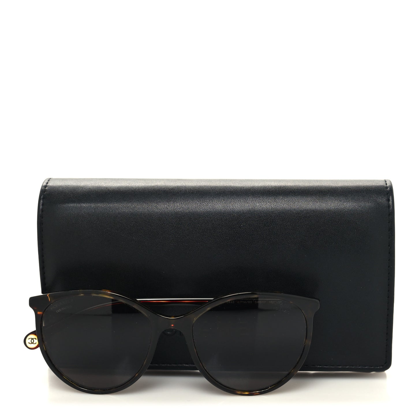 Acetate Pantos Cat Eye Sunglasses 5448 Tortoise
