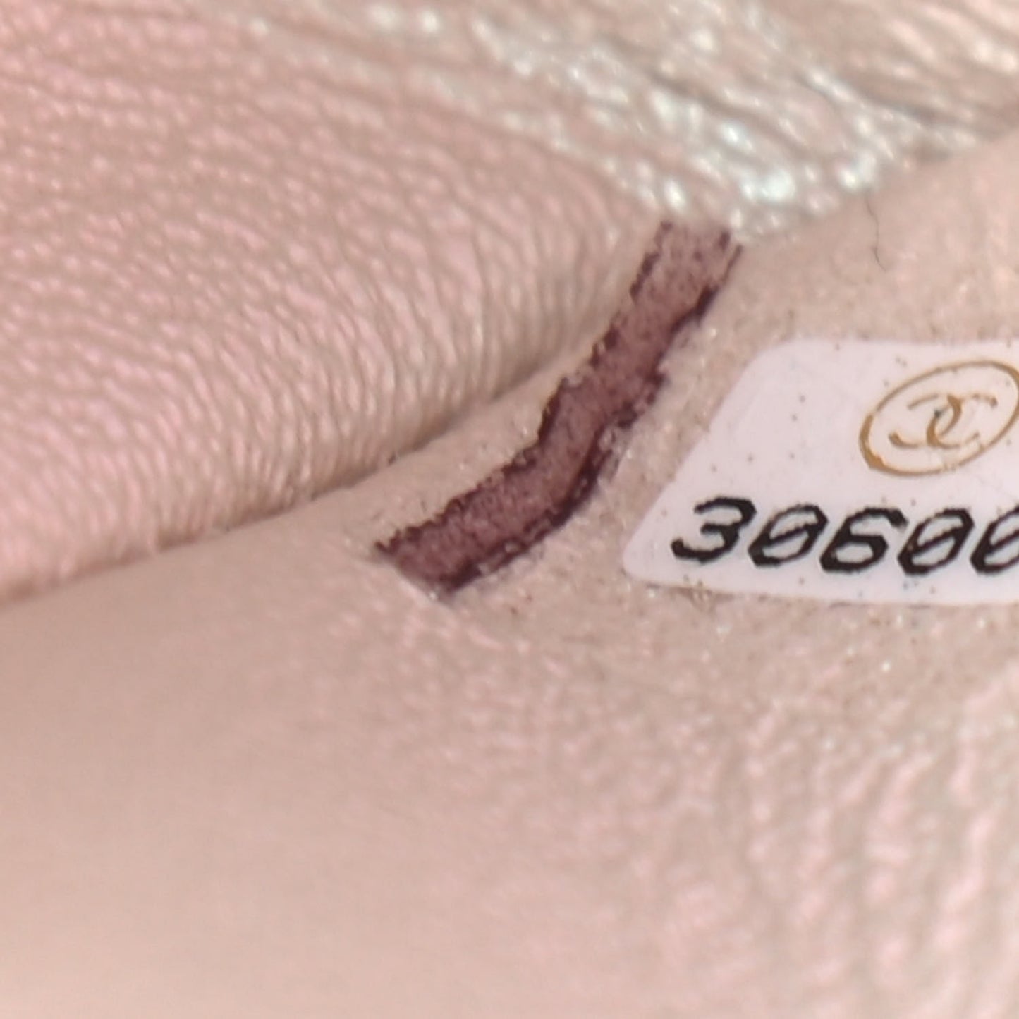 Iridescent Lambskin Quilted Mini Rectangular Flap Ivory