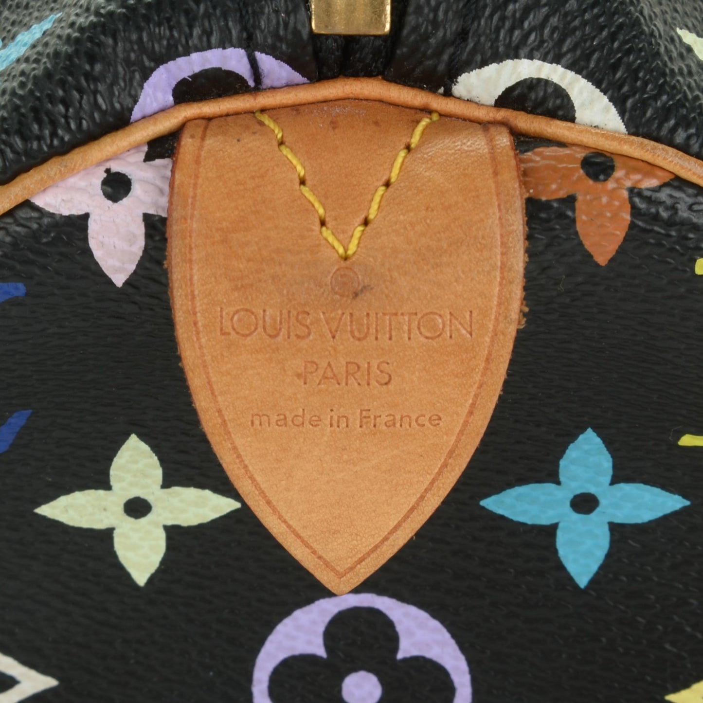 Monogram Multicolor Speedy 30 Black