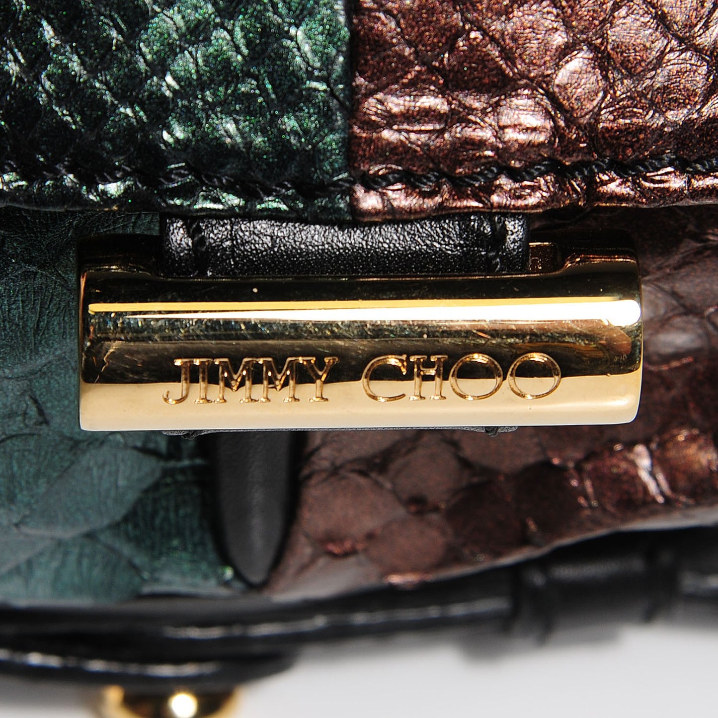 Python Arad Clutch Multicolor