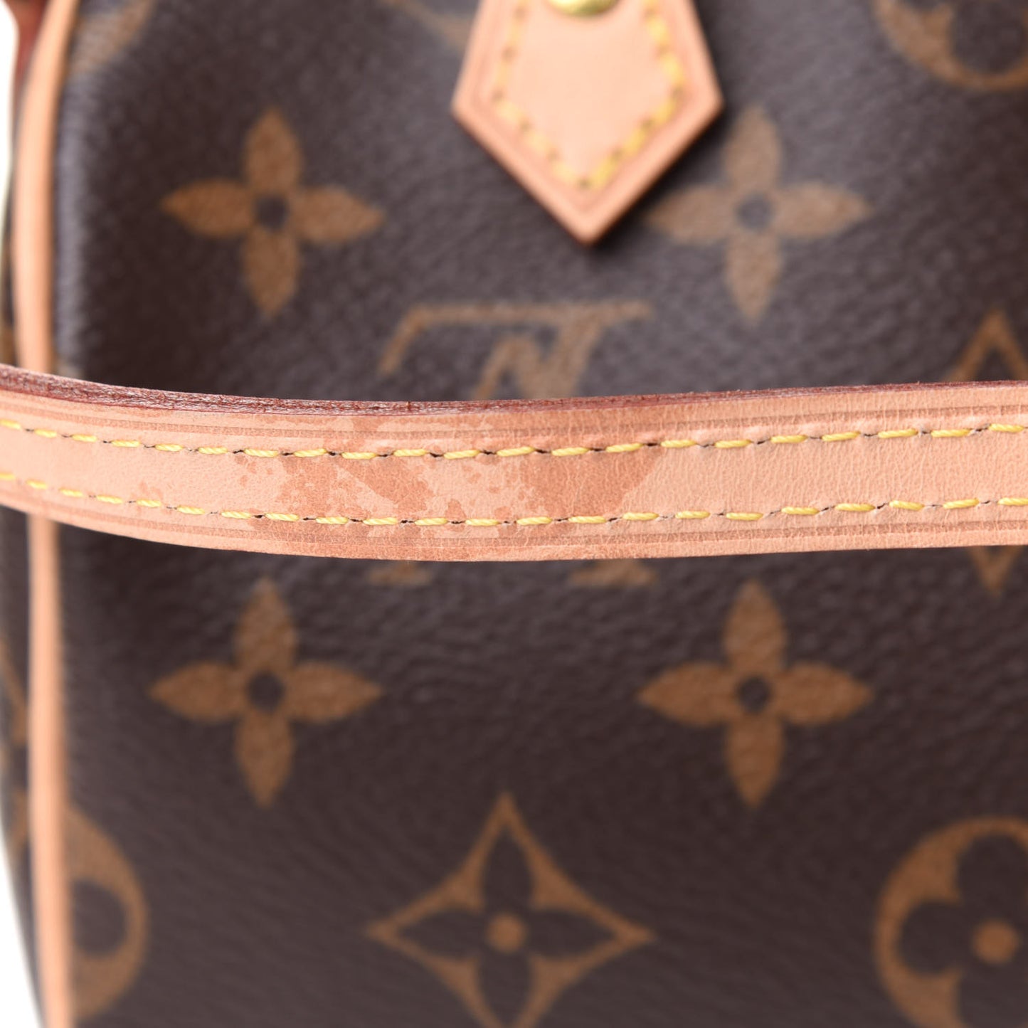 Monogram Nano Speedy