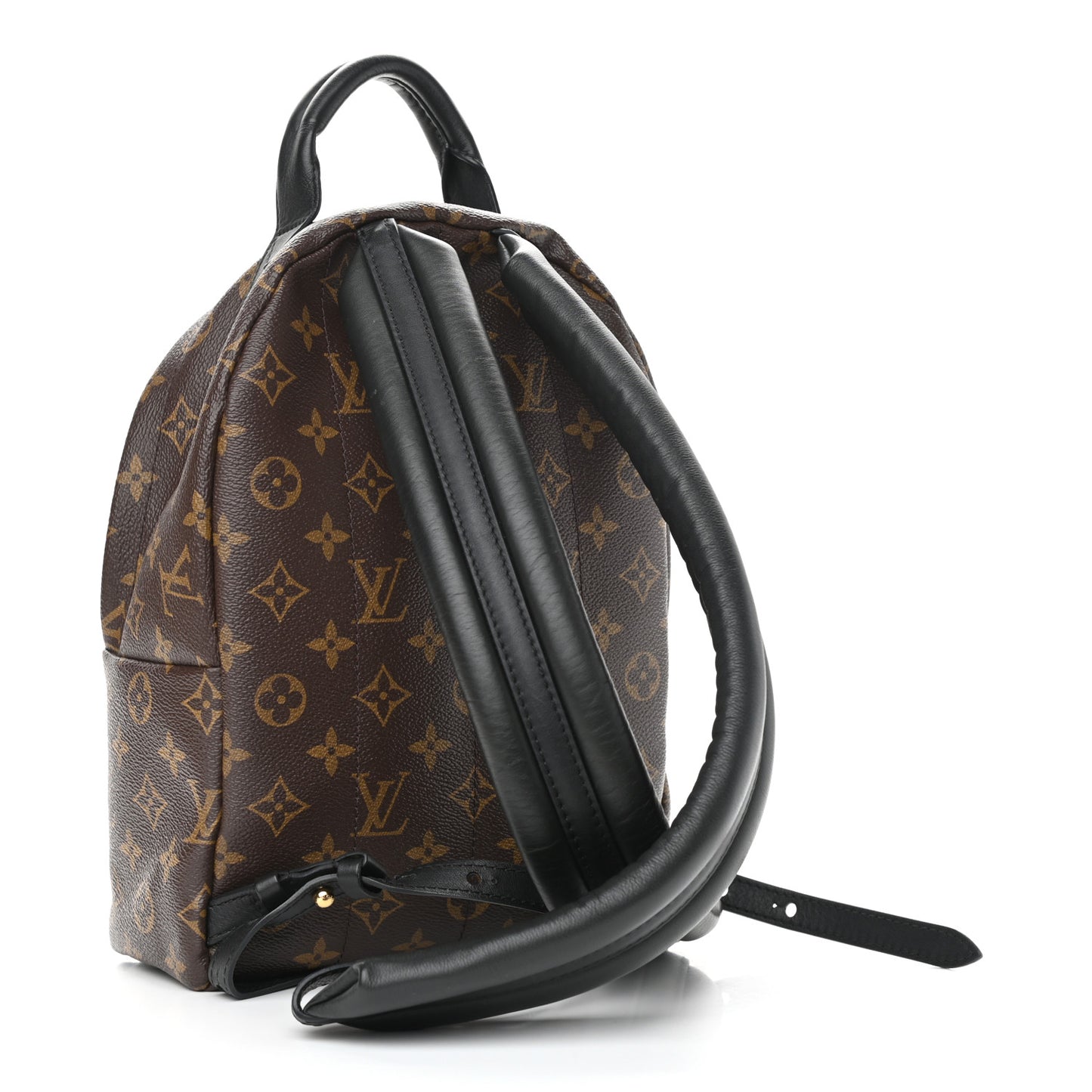 Monogram Palm Springs Backpack PM