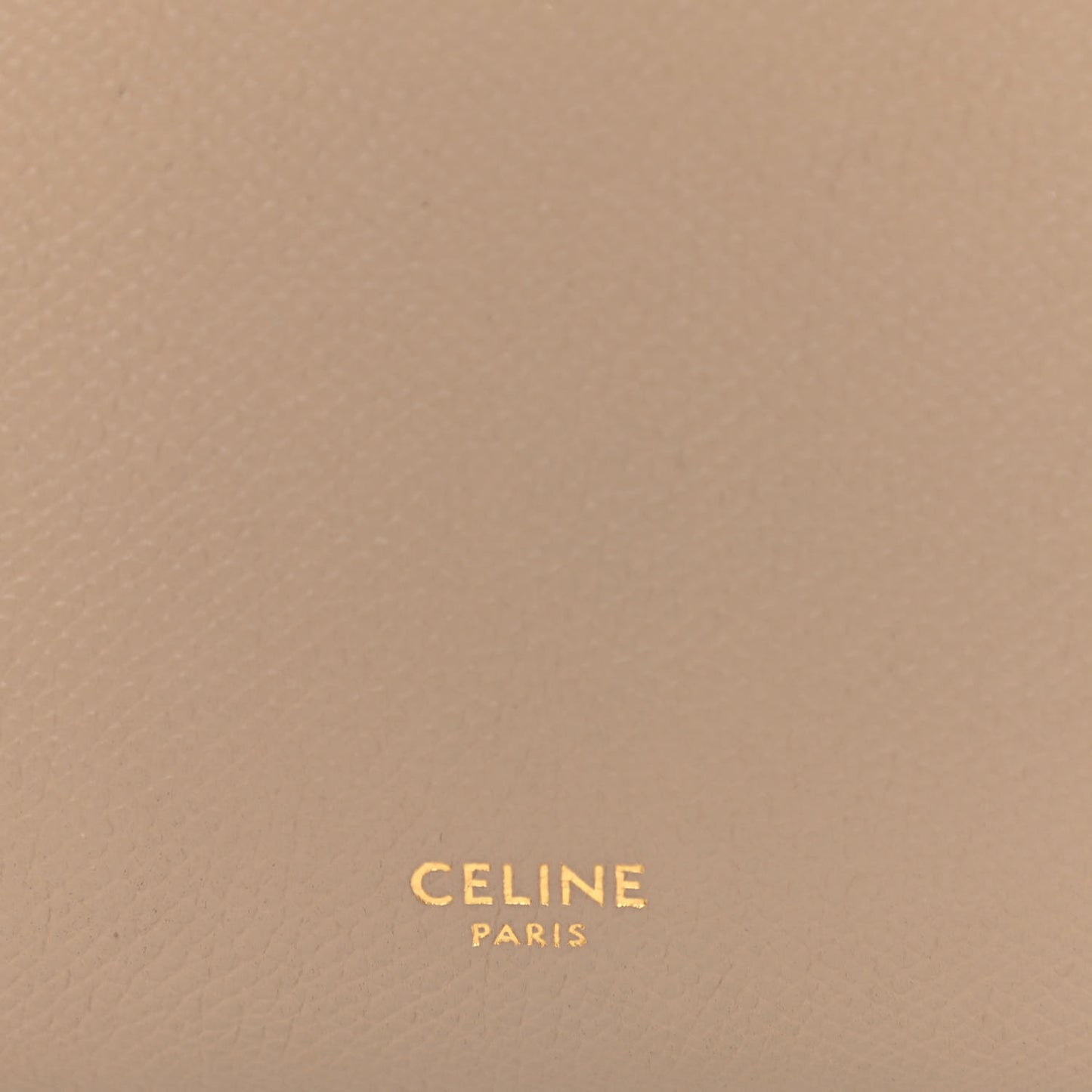 Grained Calfskin Nano Belt Bag Light Taupe