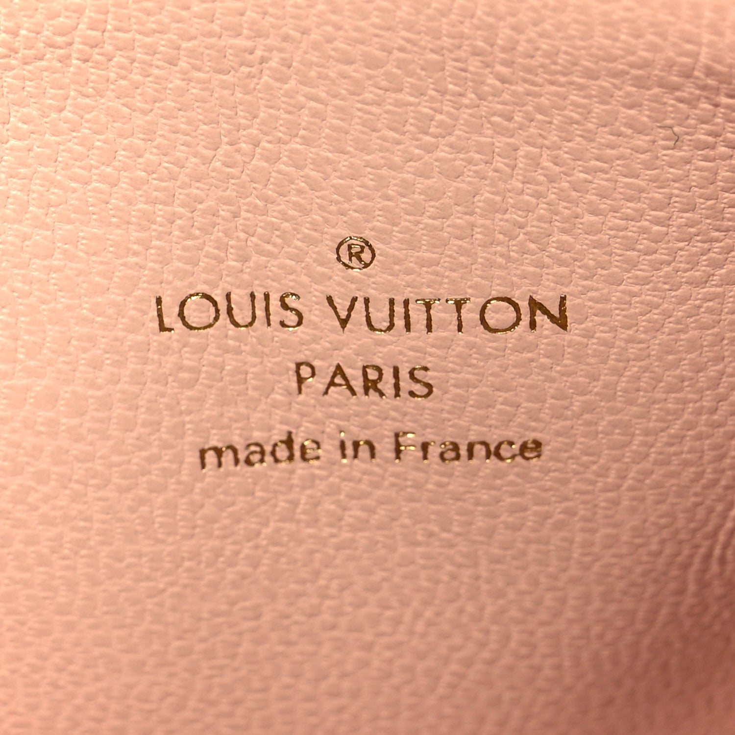 Louis Vuitton Pearlescent Lambskin Embossed Monogram Coussin PM Beige Rose 8 of 12