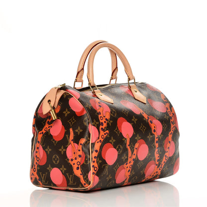 Louis Vuitton Monogram Ramages Speedy 30 Grenade 3 of 7