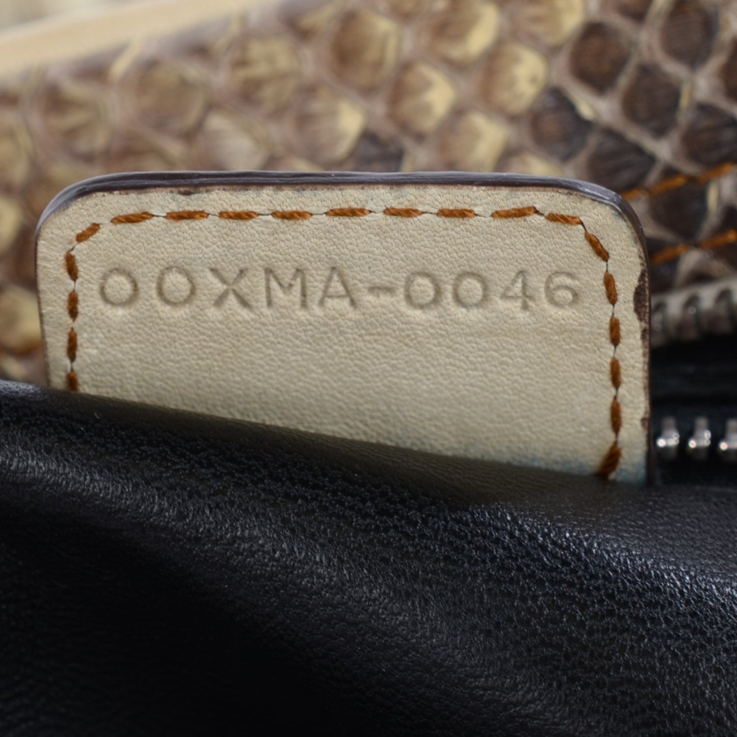 Python Crocodile Large Gaucho