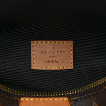 Louis Vuitton Monogram Bumbag 6 of 8