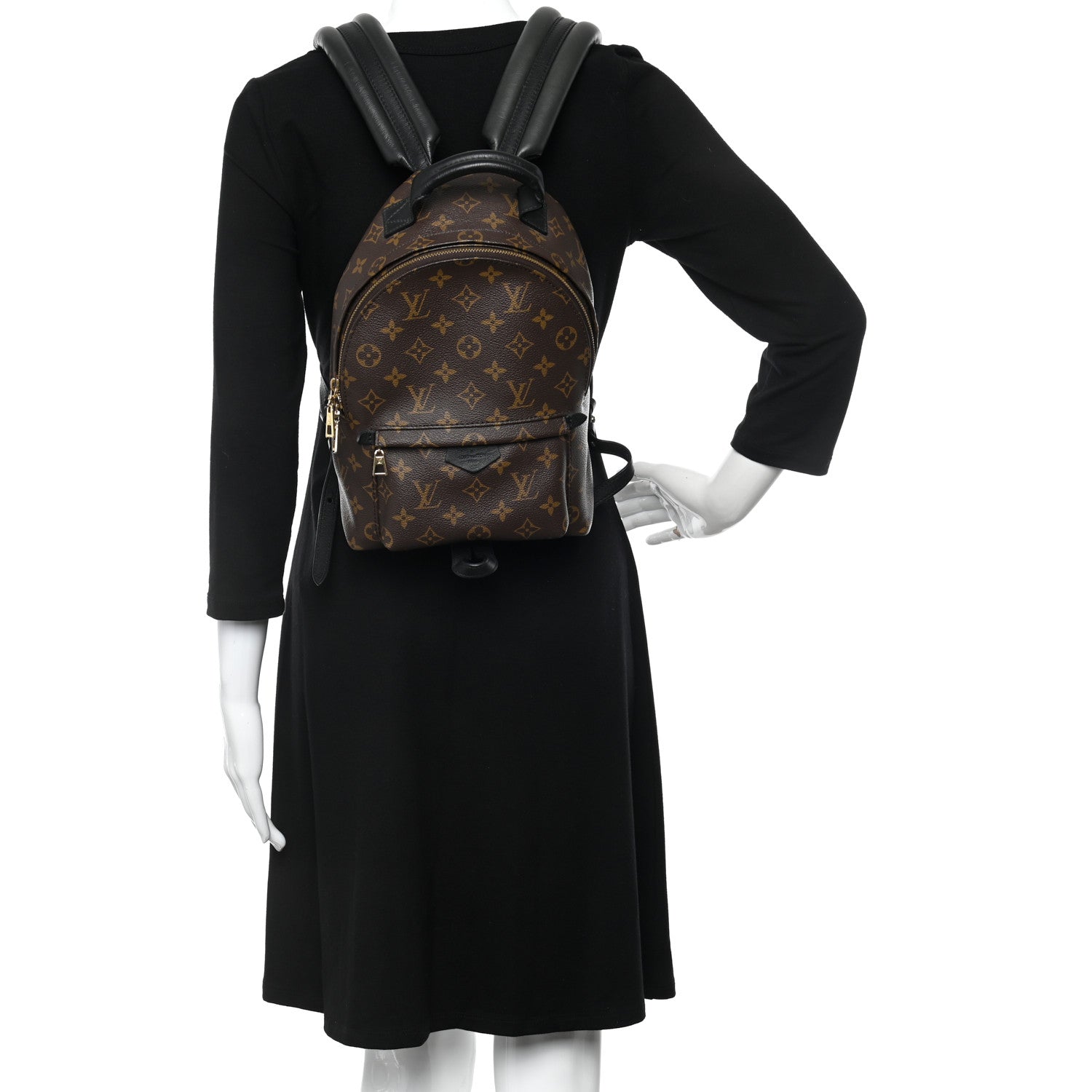 Louis Vuitton Monogram Palm Springs Backpack PM 2 of 10