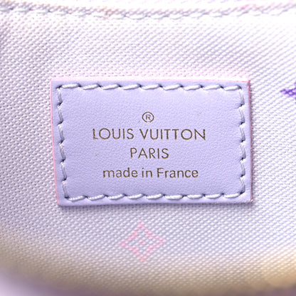 Louis Vuitton Monogram Giant Spring In The City Marshmallow Hobo PM Sunrise Pastel 6 of 11