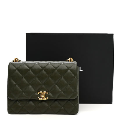 Chanel Caviar Quilted Mini Coco First Flap Khaki 12 of 12
