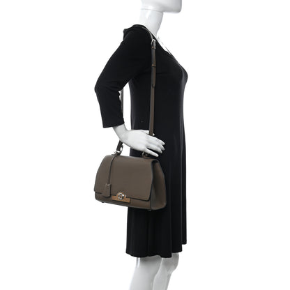 Moynat Taurillon Blush Rejane PM Taupe 2 of 9