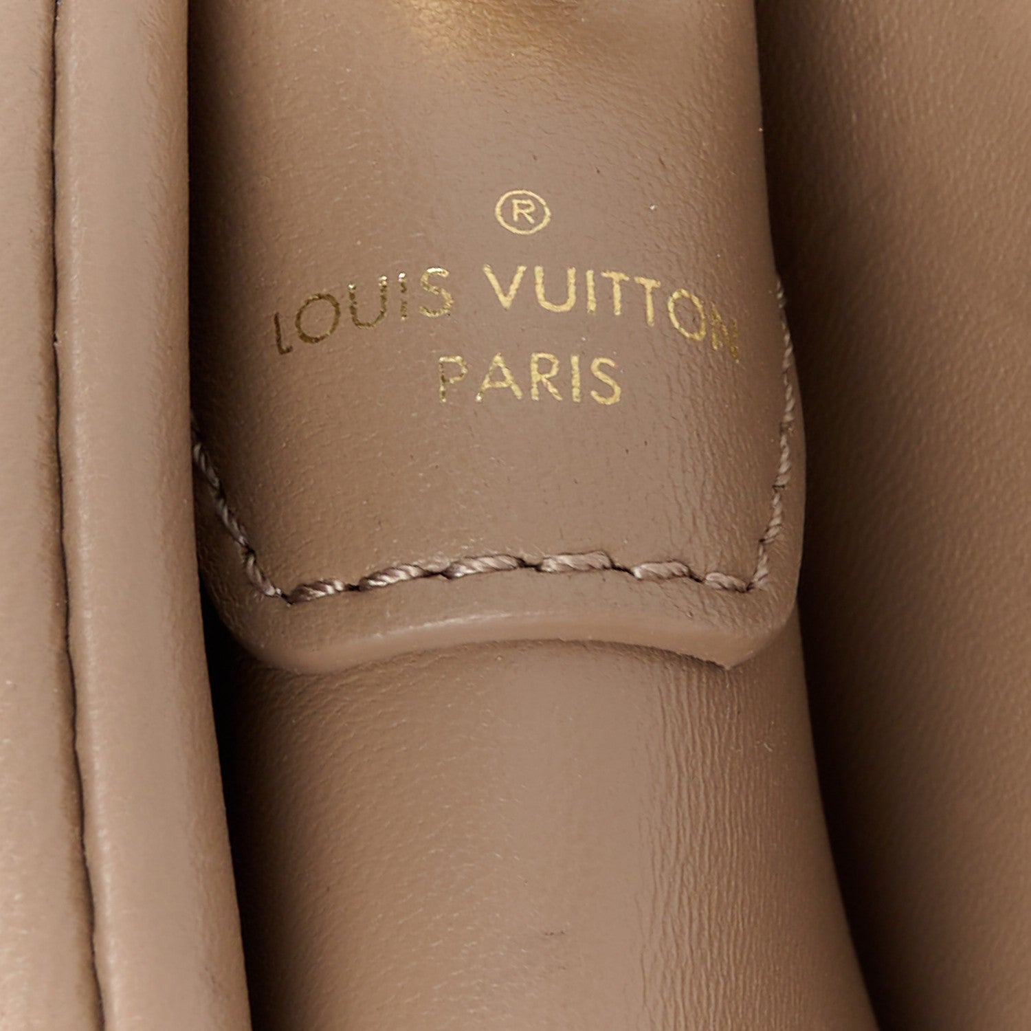 Louis Vuitton Lambskin Embossed Monogram Coussin PM Taupe 9 of 11