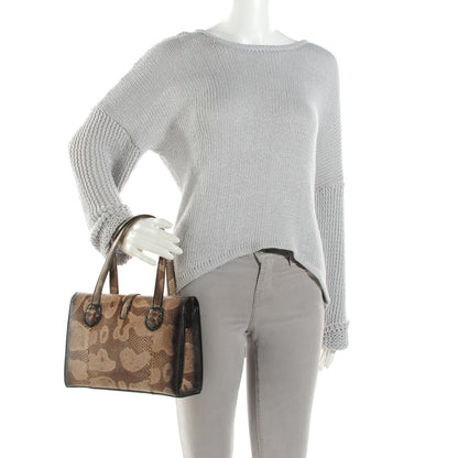 Bottega Veneta Watersnake Accordion Satchel 2 of 9