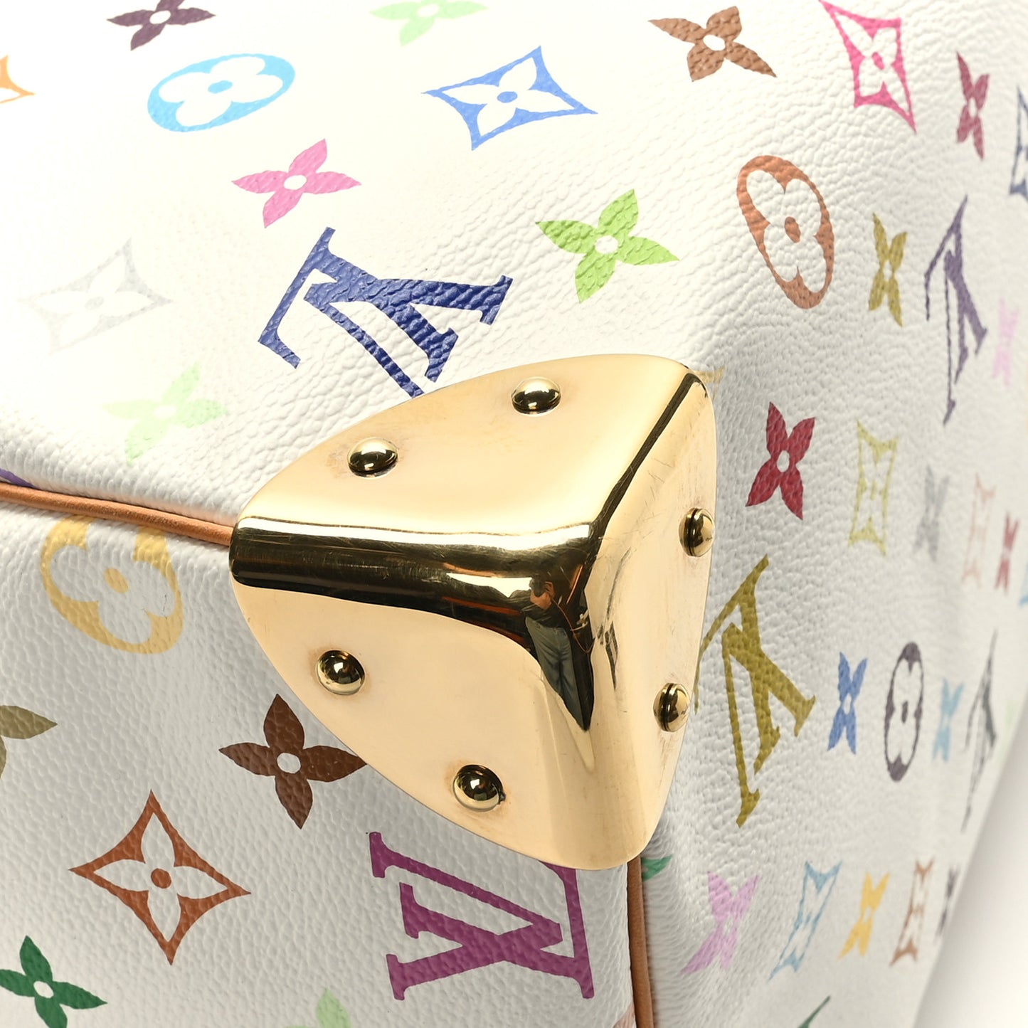 Monogram Multicolor Speedy 30 White