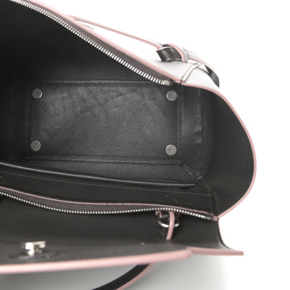 Celine Palmelato Calfskin Mini Belt Bag Espresso 5 of 14