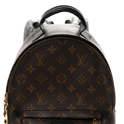 Louis Vuitton Monogram Palm Springs Backpack PM 8 of 10