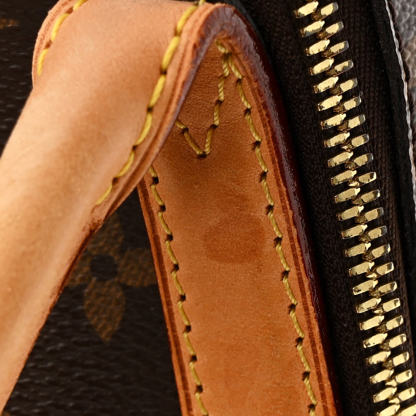Monogram Marais MM